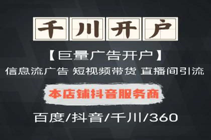 百度竞价广告成功案例：如何实现ROI最大化
